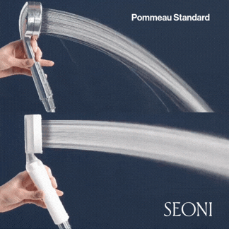 Pommeau de Douche Filtrant